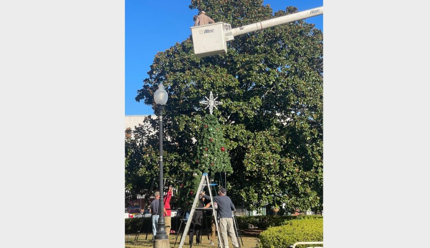 The Christmas Committee spent last Sunday putting up the 26-foot tree for the upcoming tree lighting event on Dec. 1 on the Square. 